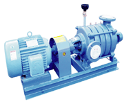 DMV형 다단볼루트펌프